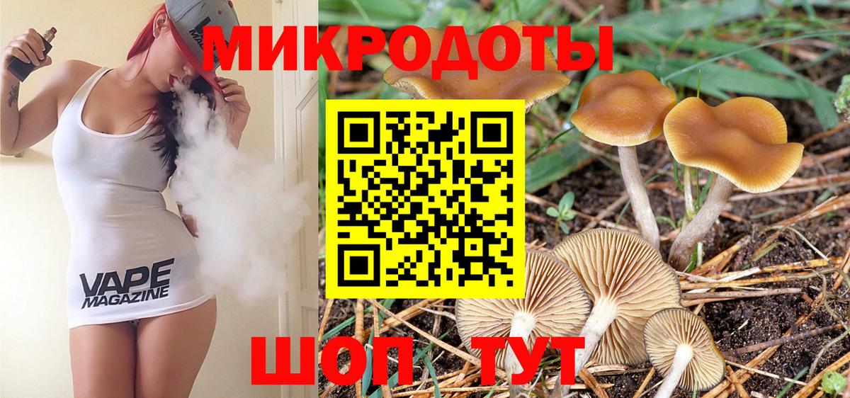 Галлюциногенные грибы Psilocybe Белово