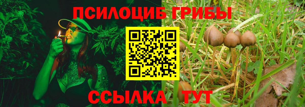 Псилоцибиновые грибы MAGIC MUSHROOMS  Вход с VPN  Белово  Галлюциногенные грибы мухоморы 